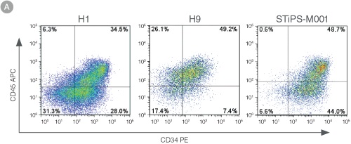 Efficient and Robust Generation of CD34+CD45+/CD43+ HPCs