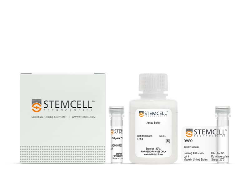 Cell Navigator™ Cell Plasma Membrane Staining Kits