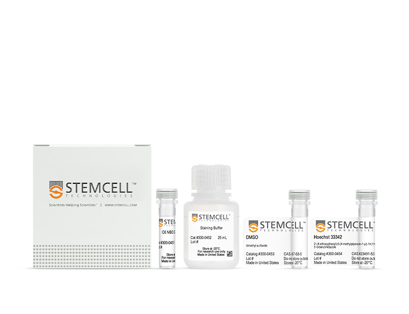 Cell Navigator™ Golgi Staining Kit