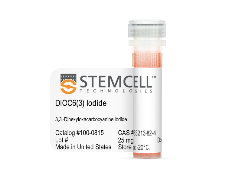 DiOC6(3) Iodide