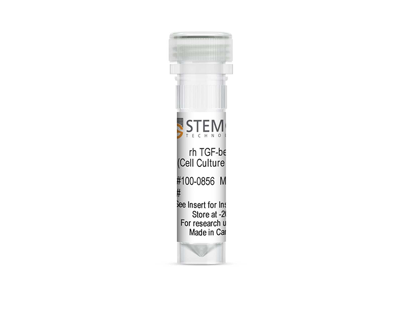 新产品发布: Human Recombinant TGF-beta 1 (Cell Culture Ready)