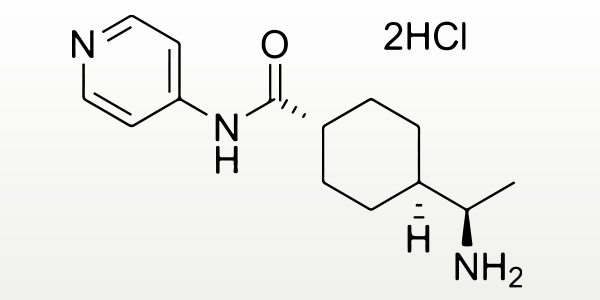 小分子